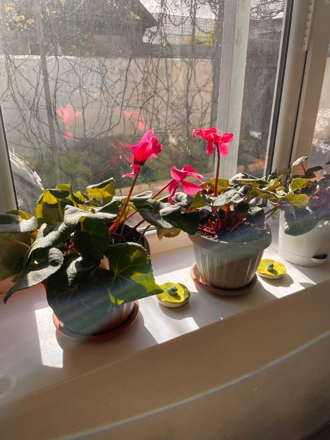 Gulnara Guest House Ysyk-Köl 외부 사진