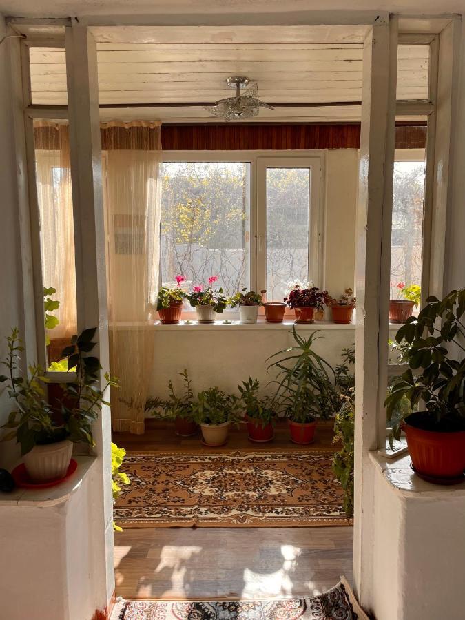 Gulnara Guest House Ysyk-Köl 외부 사진